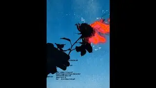 (FREE) Don Toliver Sexy Drill Type Beat -  Ideas