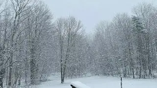 SNOWY DAY IN PENNSYLVANIA USA/MARCH 9,2022/MOMMY ANNE VLOGS