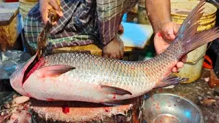 Fast Rohu Fish Cutting Skills In Dhaka Fish Market | Nur Fish Cutting Skills 