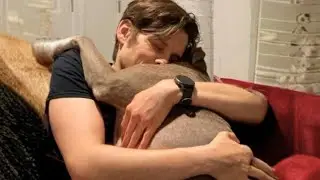 Abandoned, Starving, and Broken&mdash;How a Rescue Dog Became the Heart of Our Home