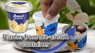 Panter from Ice-cream container || Reuse Ice-cream container || waste to best @Gardeningwithankita