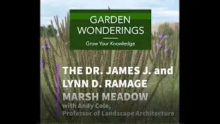 The Dr. James J. and Lynn D. Ramage Marsh Meadow