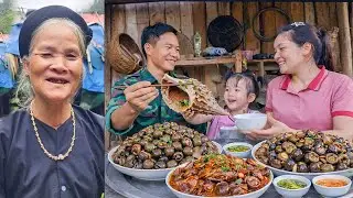 The Process of Harvesting Wild Snails - Cooking Snail Dishes - Daily Life | L&yacute; Tiểu H&agrave;'s Husband