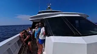 Giro dell'Isola di Capraia con la motonave LA SUPERBA