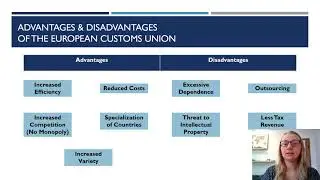 EU Customs Union: Advantages and Disadvantages