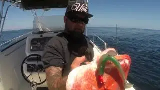 St Augustine Offshore Fishing