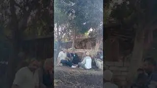 ١ ديسمبر ٢٠٢٠
