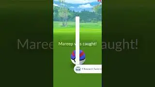 Shiny Ampharos from Mareep Community Day! #pokemongo