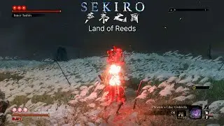 Sekiro land of reeds - inner isshin 