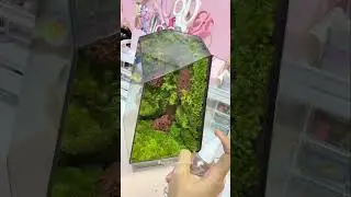 Unboxing a Beautiful Terrarium 🍃🍀🌳 #shorts #terrarium #plants #aesthetic #desksetup #roomdecor