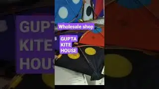 wholesale kite shop | Gupta kite house | पतंग की दुकान | wholesale prices| Best kite shop in delhi