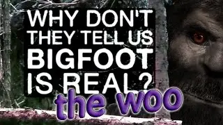 Paranormal Sasquatch: *THE WOO* What IS Bigfoot?