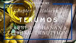 Yerushalmi Daf Yomi: 