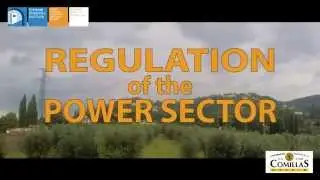 Regulation of the the Power Sector