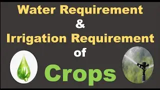 Water Requirement & Irrigation Requirement of Crops- AFO, FCI, NSC, JRF, ICAR, BHU, FCI, Agri Exam
