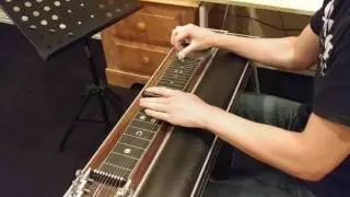 'High Class City Girl From the Country' pedal steel solo
