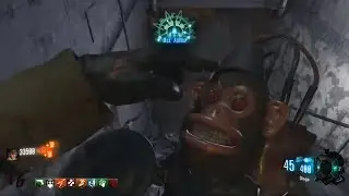 Blackops 3 Dubstep Monkey Bombs