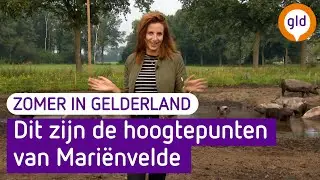 Zomer in Gelderland in Mari&euml;nvelde: de hoogtepunten