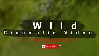 Wild Cinematic Video.Cinematic Video.Maruf Hasan Photography.