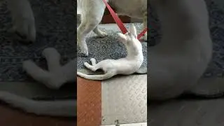 #Best Friends#Short Video.