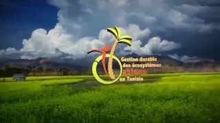 PalmTour: projet de tourisme alternatif &agrave; elguettar