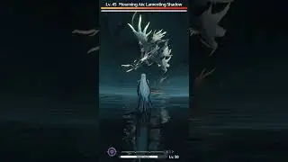 Calchero best dps
