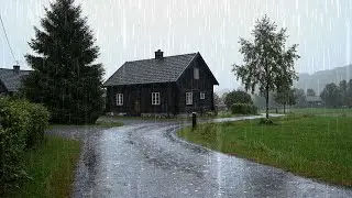 Rainy country road and a quiet house | Moment of respite to the gentle sound of rain
