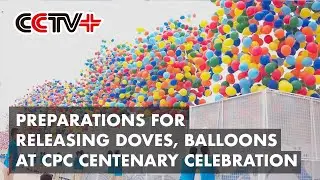 Organizers Reveal Preparations for Releasing 200,000 Doves, Balloons at CPC Centenary Celebration