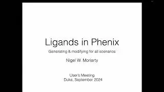 Ligand restraints (Nigel Moriarty)