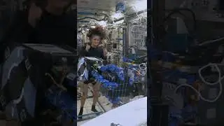 Sunita Williams Supervises Astrobee REACCH: Space Tech's Tentacle Revolution!