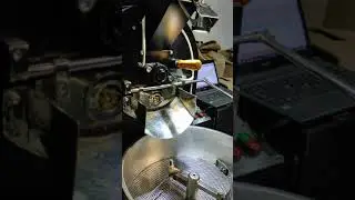 Roasting robusta coffee