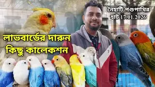 ।।লাভবার্ডের দারুন কিছু কালেক্শন।।Part -3।।Naihati Pet Market✨।।Price of Conure, Cockatiel, Budgies।