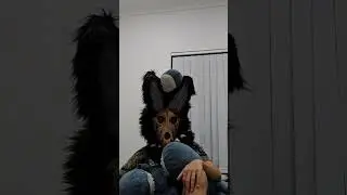 shark :3 #furry #transrightsarehumanrights #fursuit ##trans #scp1471 #scp #blahaj