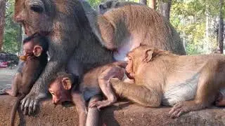 Popeye open mouth so big want to warning her son till run quickly