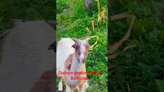 Gilgit Baltistan culture explore amazing facts #nature #photography #mountains #villagelifestyle