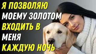 Моя собака делает это КАЖДУЮ НОЧЬ, когда моего мужа нет дома. Трогательная история.