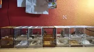 Prueba1 8 enero 2021