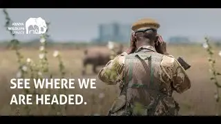 Partner with Us to Safeguard Kenya's Wildlife and their Habitats!