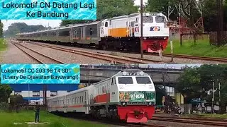 Lokomotif CN Datang Lagi Ke Bandung | Lokomotif CC 203 98 14 SDT 💚 (Livery De Djawatan Bayuwangi)