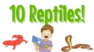 ¡APRENDIENDO 10 REPTILES!  🐍  For Kids