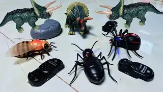 RC Animals |Rc Bee dinosaur Spider Ant Unboxing & Testing: Remote control Toys