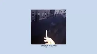 kaczka 'nowy numer'
