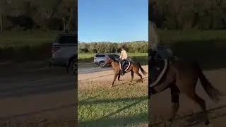 Radincon Sponsored Rider, Susan, Endurance Ride.