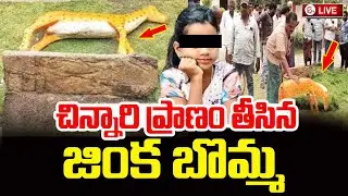 Deer Toy Incident In Amalapuram | ప్రాణం తీసిన జింక బొమ్మ | Amalapuram Latesrt News | SumanTV Vali