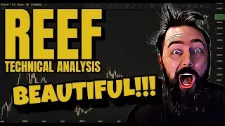 REEF FINANCE GETTING CLOSE TO BREAKOUT!!!