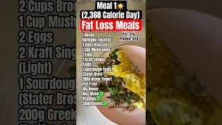 2,368 Calorie Full Day of Eating | High Protein Fat Loss Diets