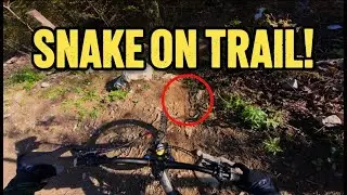 THERE WAS SNAKE ON A TRAIL!! 🐍 // Spet doma, MTB center Kočevje, Slovenia MTB 4k