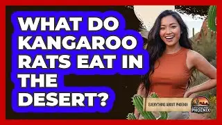 What Do Kangaroo Rats Eat In The Desert?