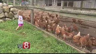 Number of new farmers growing in Connecticut