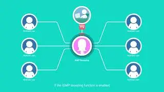 HUAWEI Access Network Mulitcast Feature Description-Multicast IGMP Protocol
